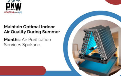 Why Air Purification Services in Spokane are important to Maintain Indoor Air Quality?